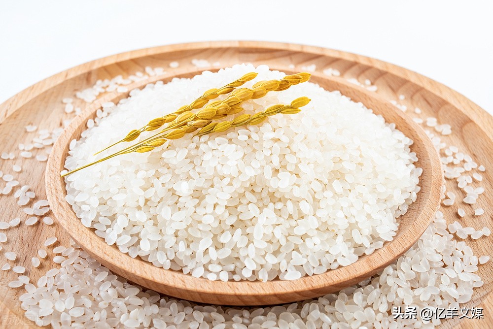 Is brown rice or white rice better for you?A nutritionist gives a ...