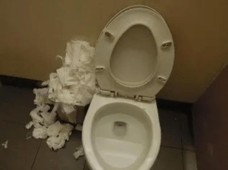 Should Toilet Paper Be Thrown Down The Toilet Or In The Trash Many People Think Wrong No