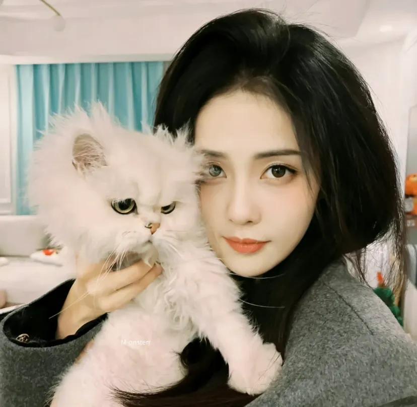 The photo of the white deer is also very suitable as a profile picture