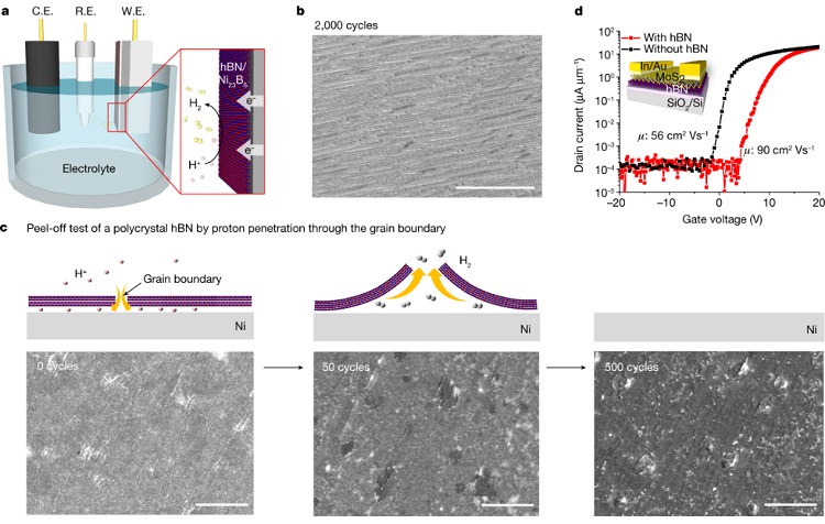Nature: How To Grow Large Area Single Crystal Multilayer Hexagonal ...