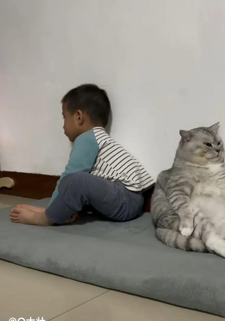 How to coax a cat that is angry with its owner iNEWS