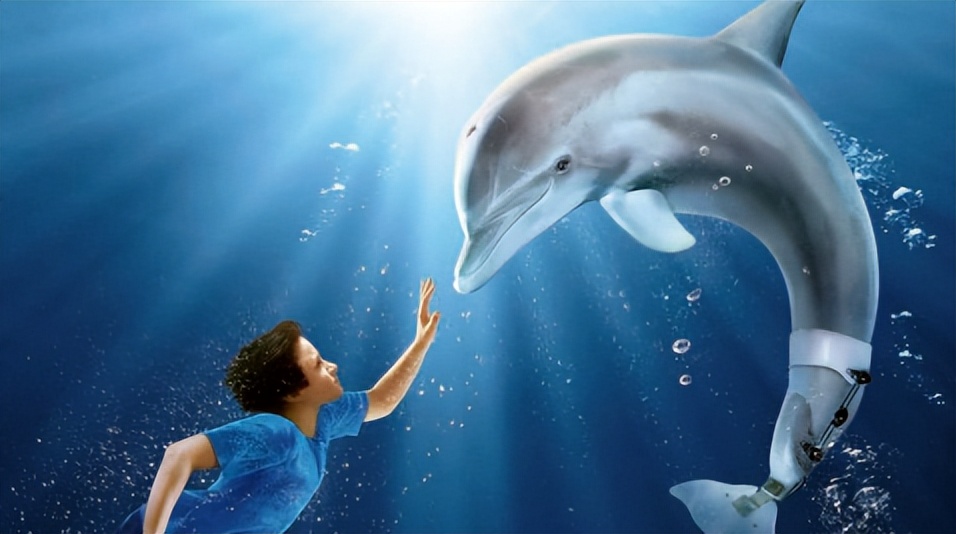 What kind of shooting techniques and scene processing are used in "The