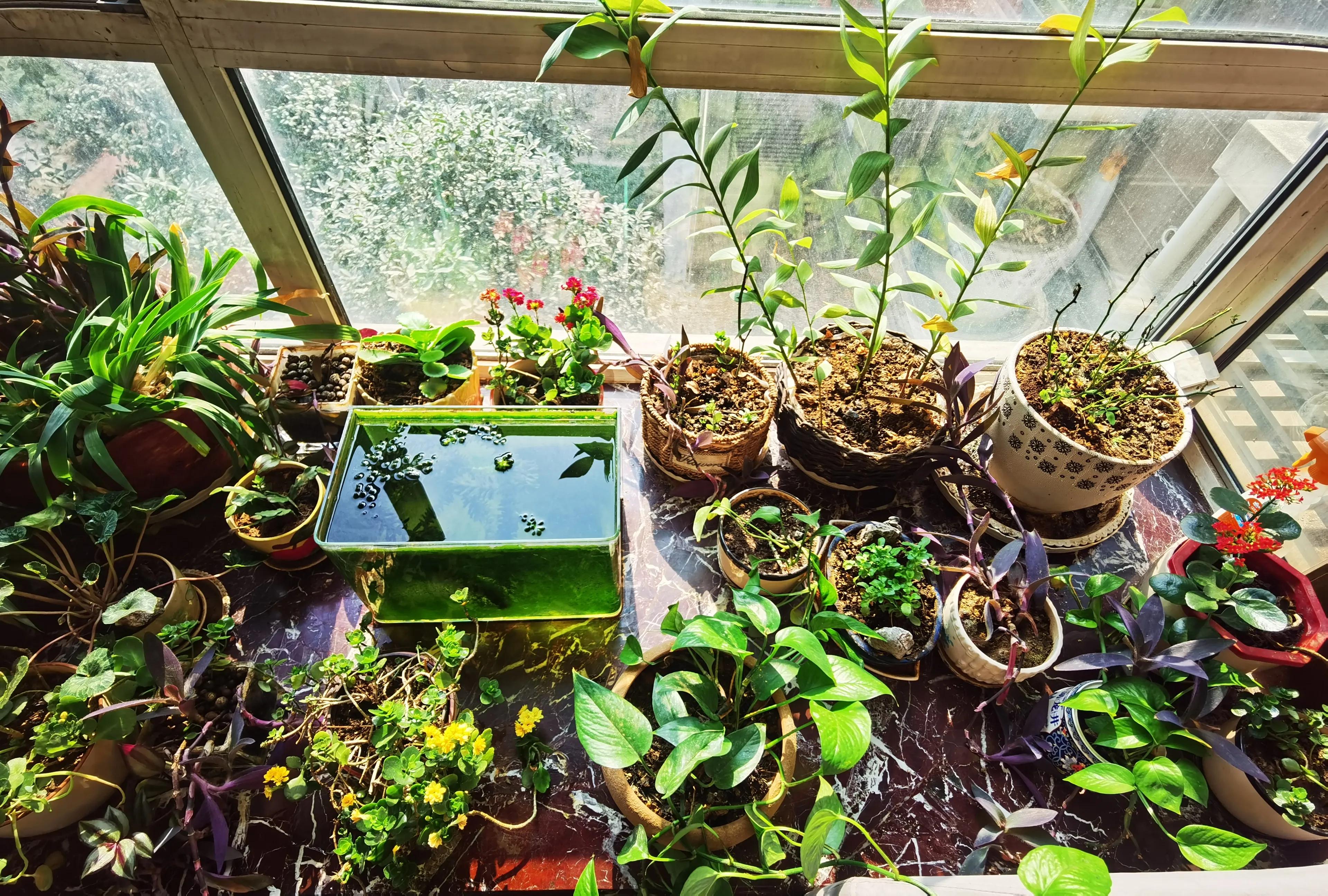Con Tos Spring Let's do some spring things at the beginning of spring - iNEWS