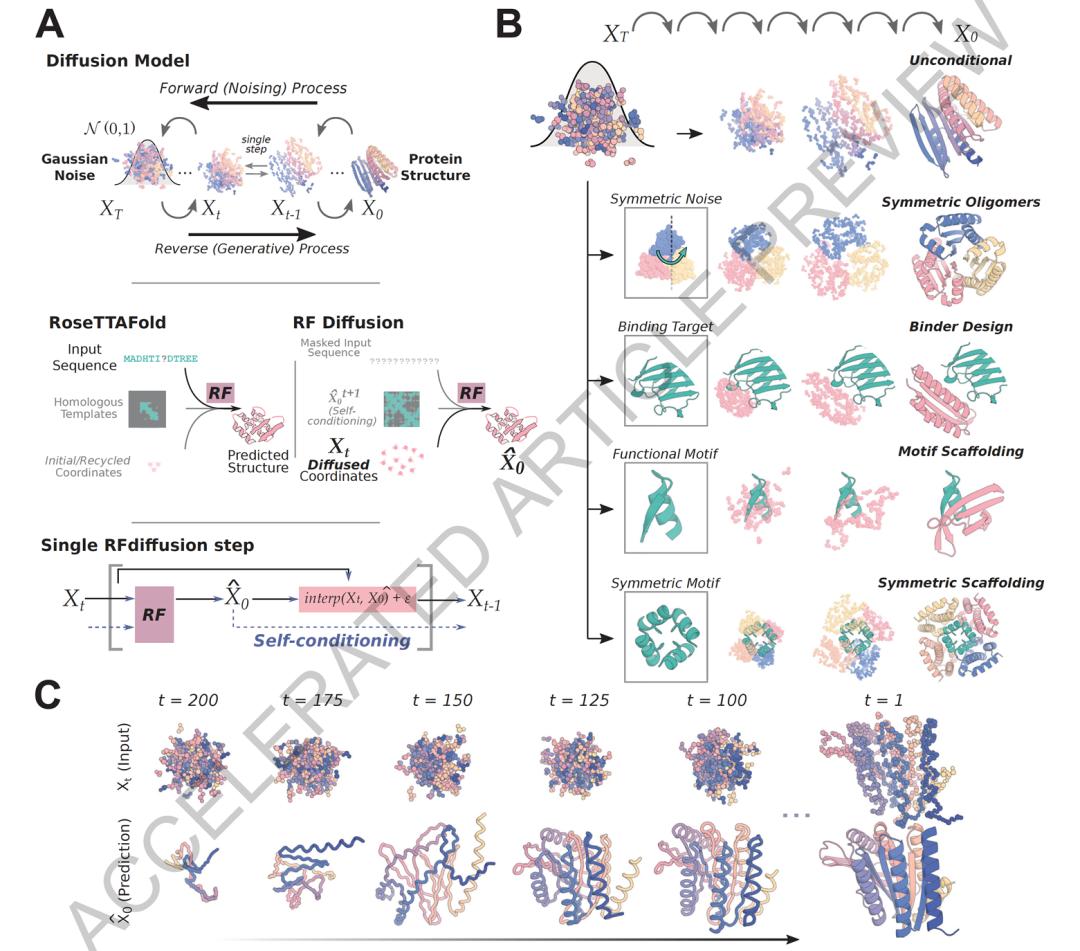 De novo design of diverse functional proteins using the diffusion model