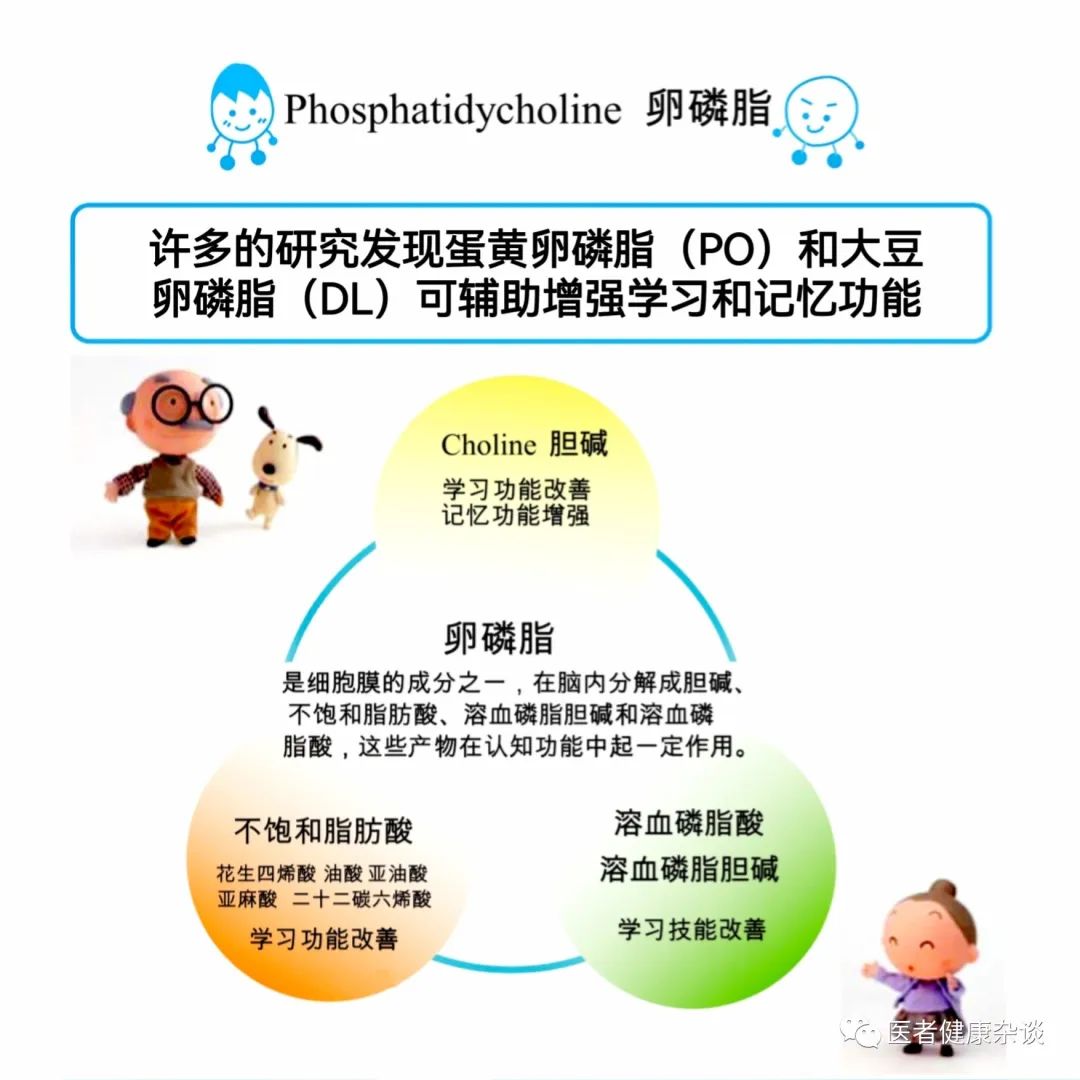 What is the nutritional lecithin, what are there, and what are the