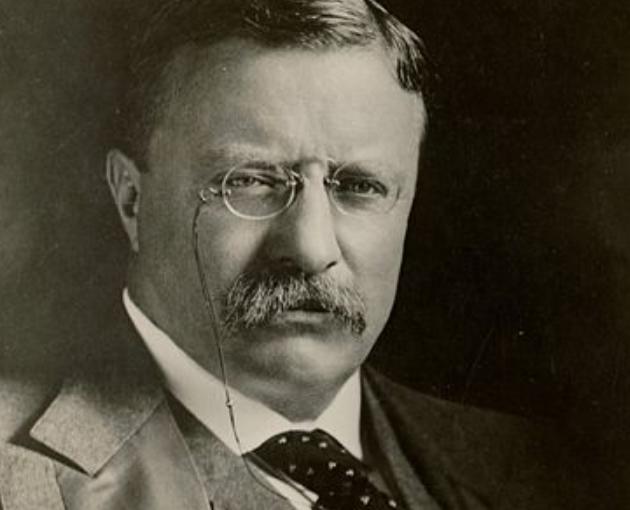 American Progressivism in the Early 20th Century: Roosevelt's Fight ...