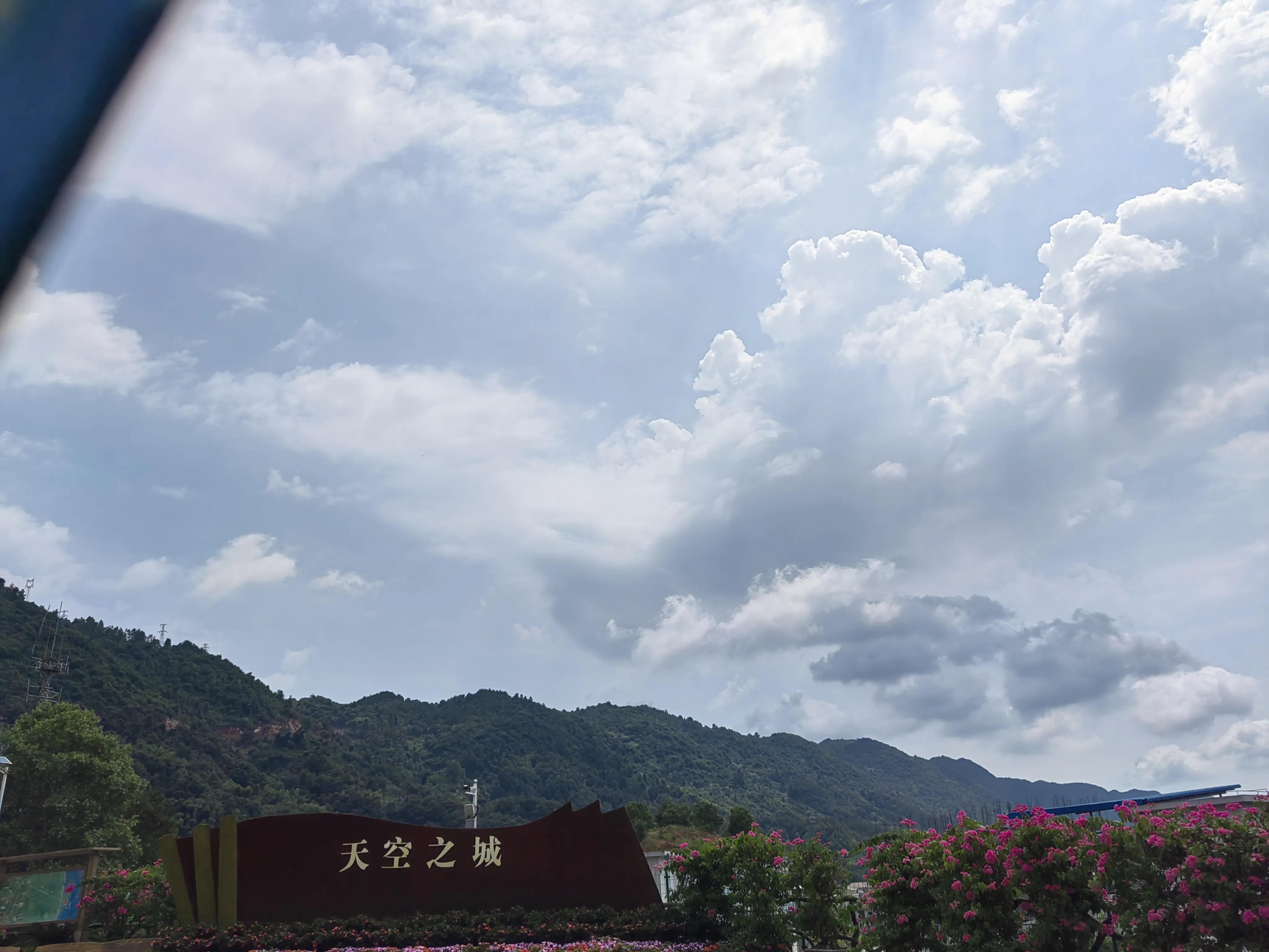 Hubei Yangxin 