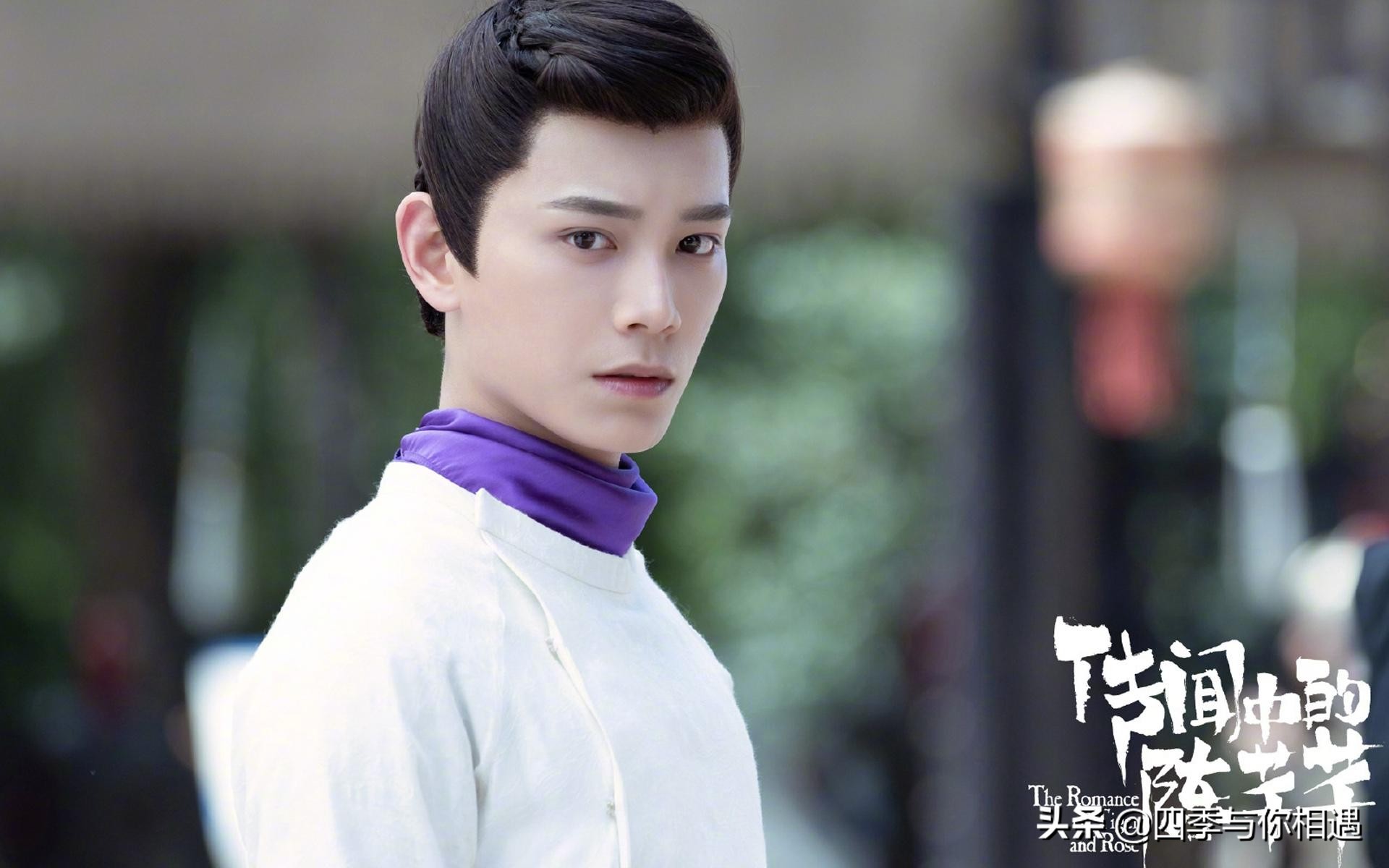 How many TV dramas have you watched Ding Yuxi starred