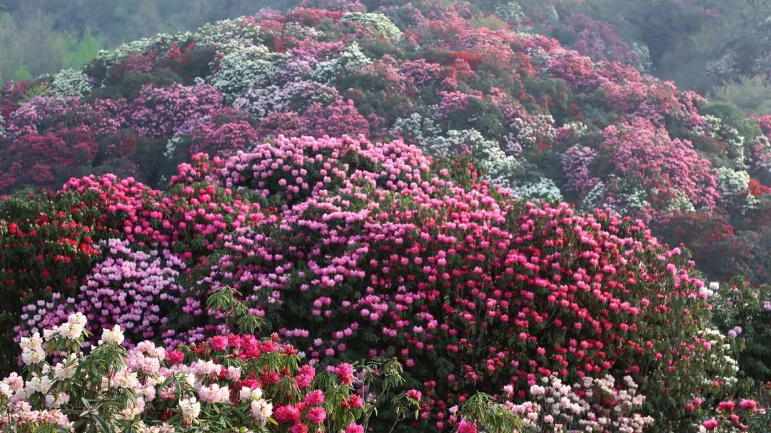 Shocking scenery!