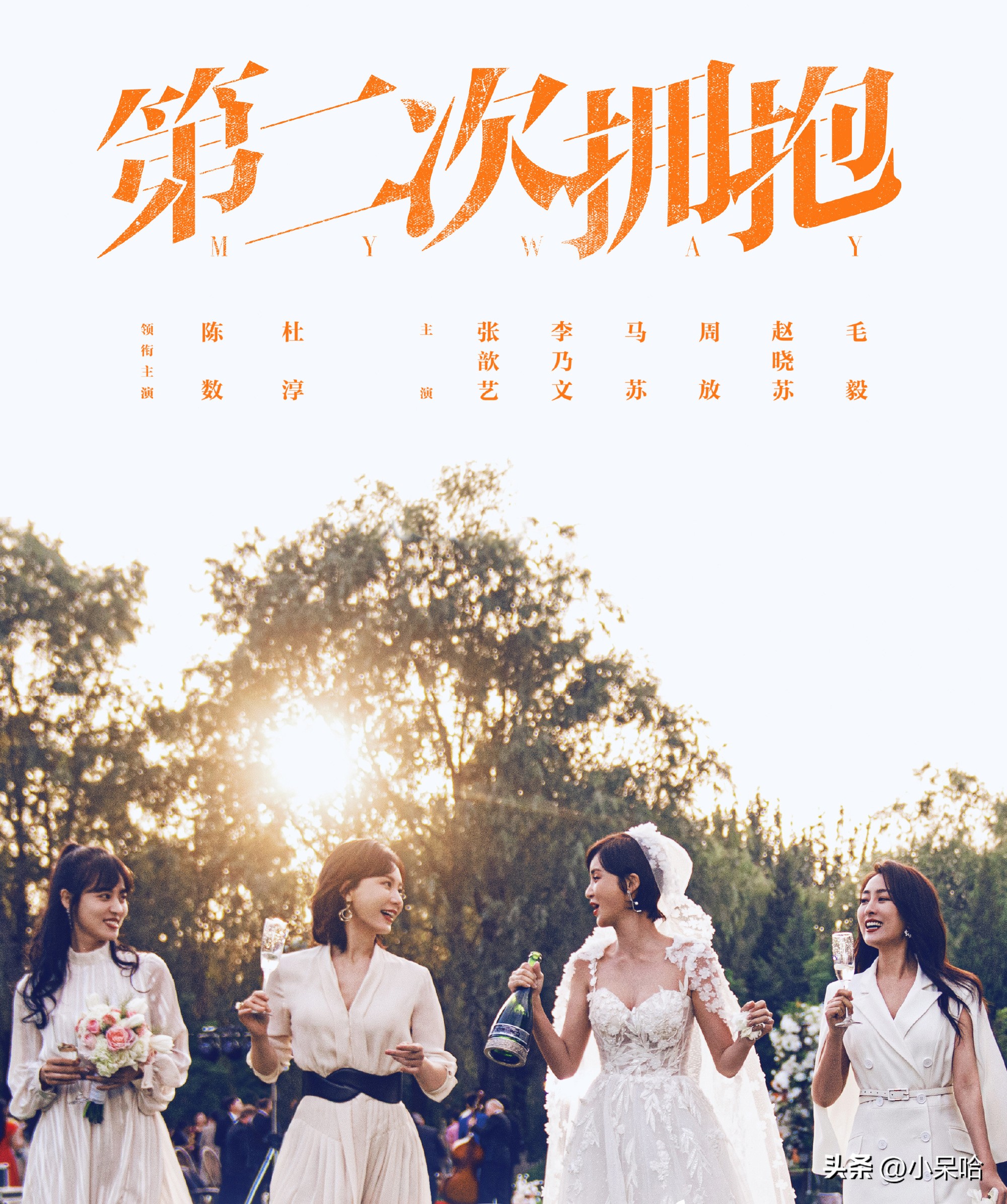 Urban drama Wang Zhan, starring Chen Shu, Zhang Yunyi, Li Naiwen, and ...