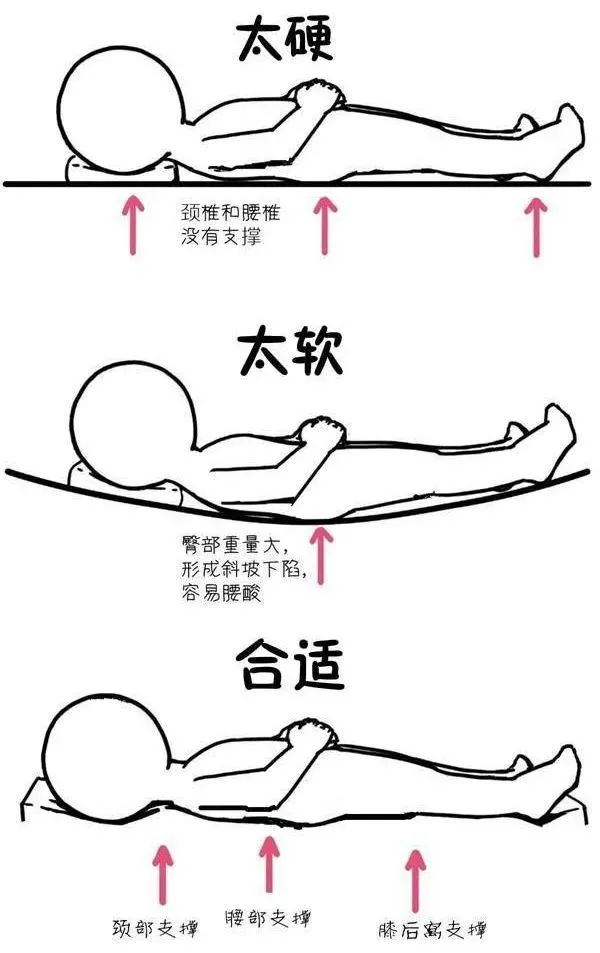 Does the hard bed board hurt the waist?Sleeping wrong, back pain will