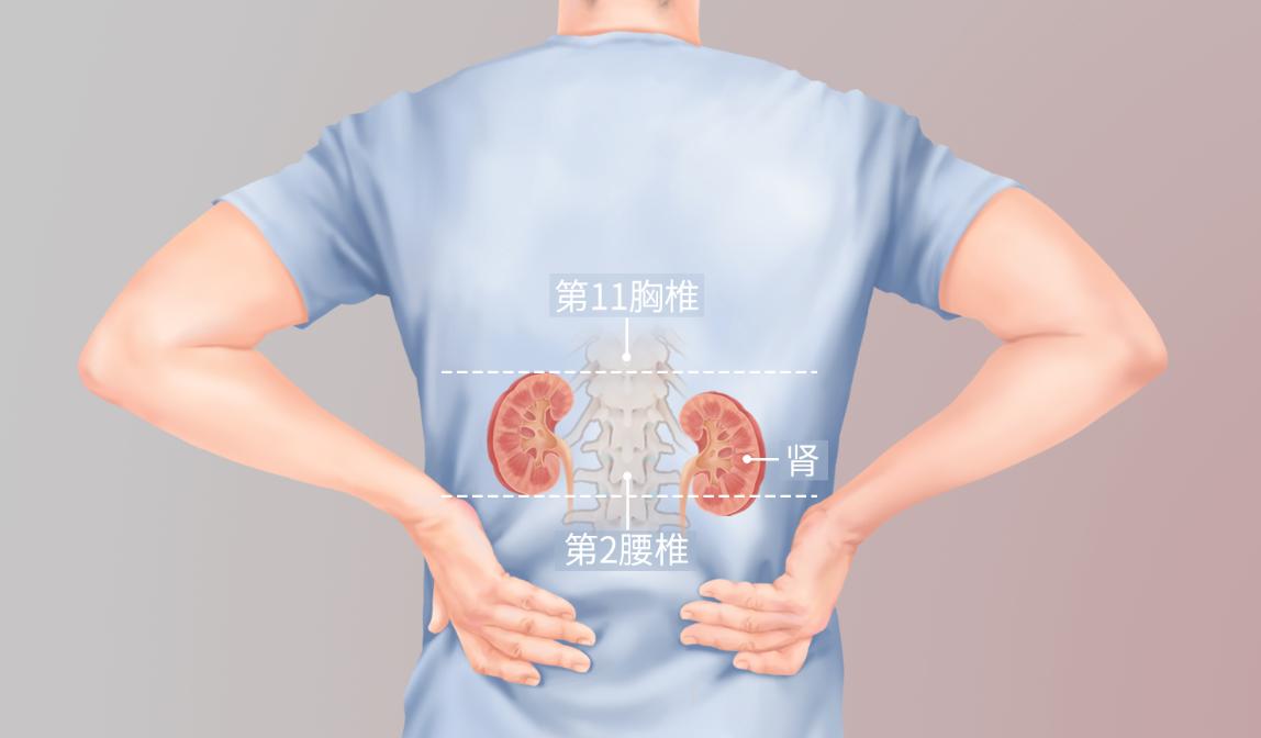 How to judge whether you are kidney yin deficiency or kidney yang ...