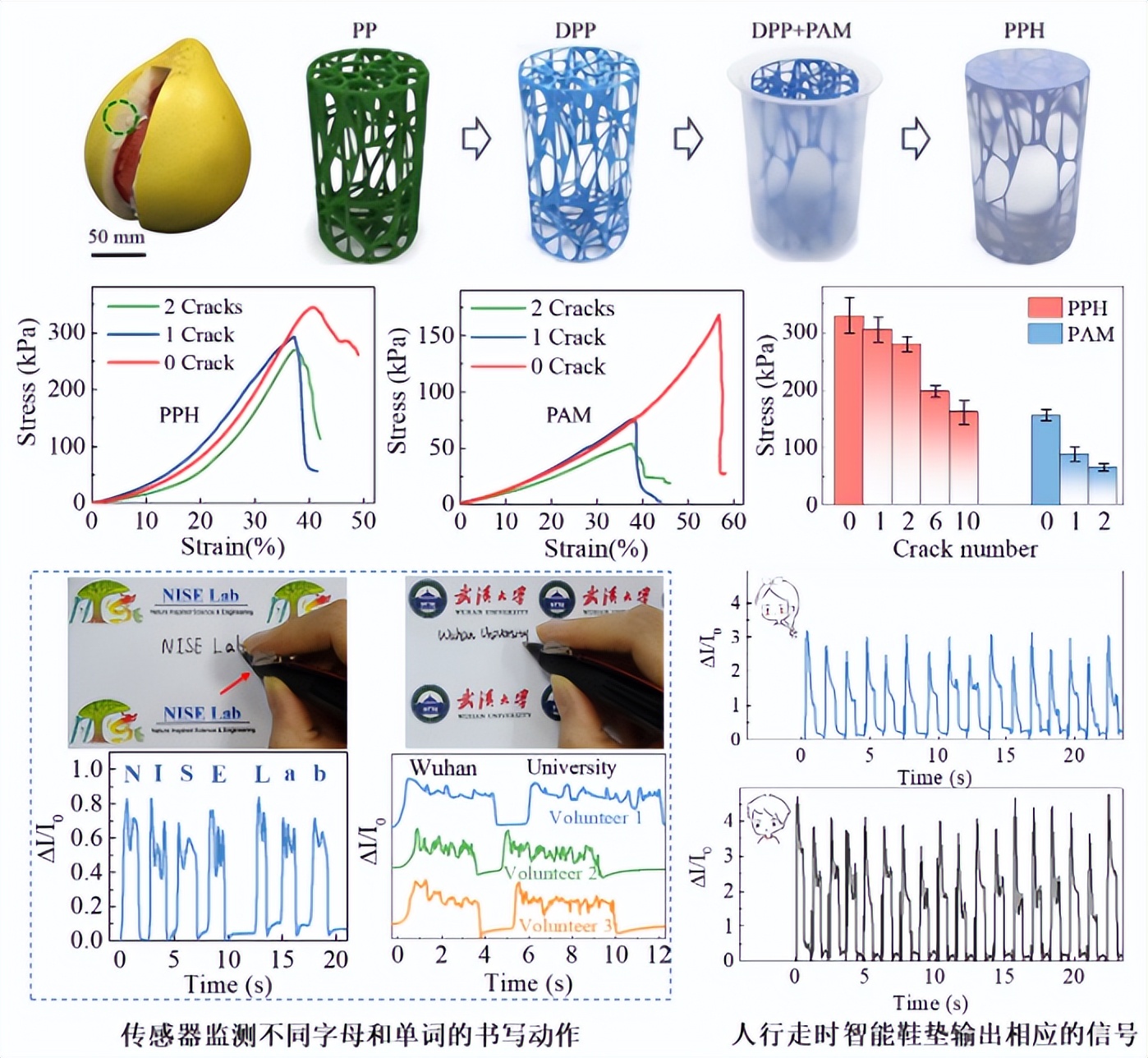 The research group of Professor Xue Longjian of Wuhan University has ...