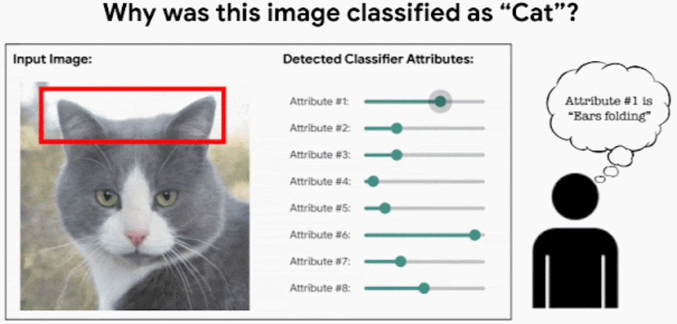 Classifier Visualization Explains StylEx: Google and More Find Key ...