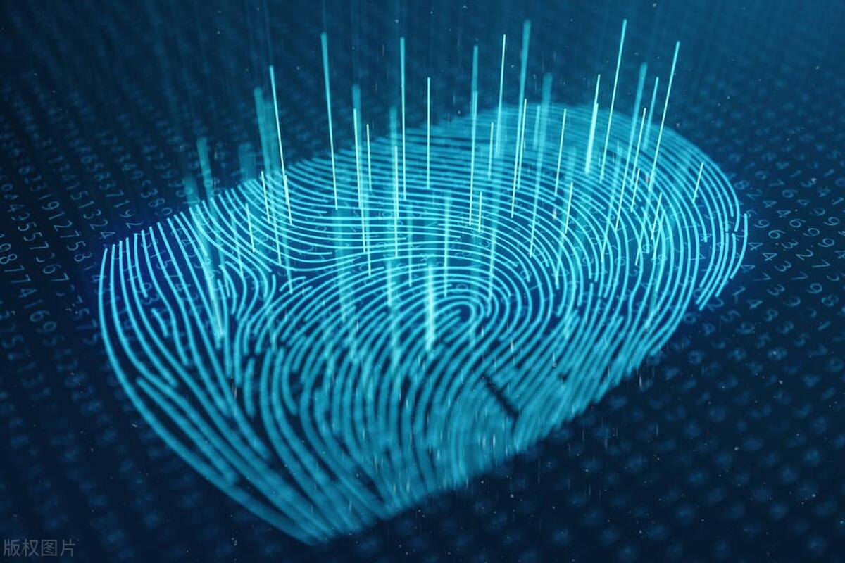 What is the difference between optical fingerprints and ultrasonic ...