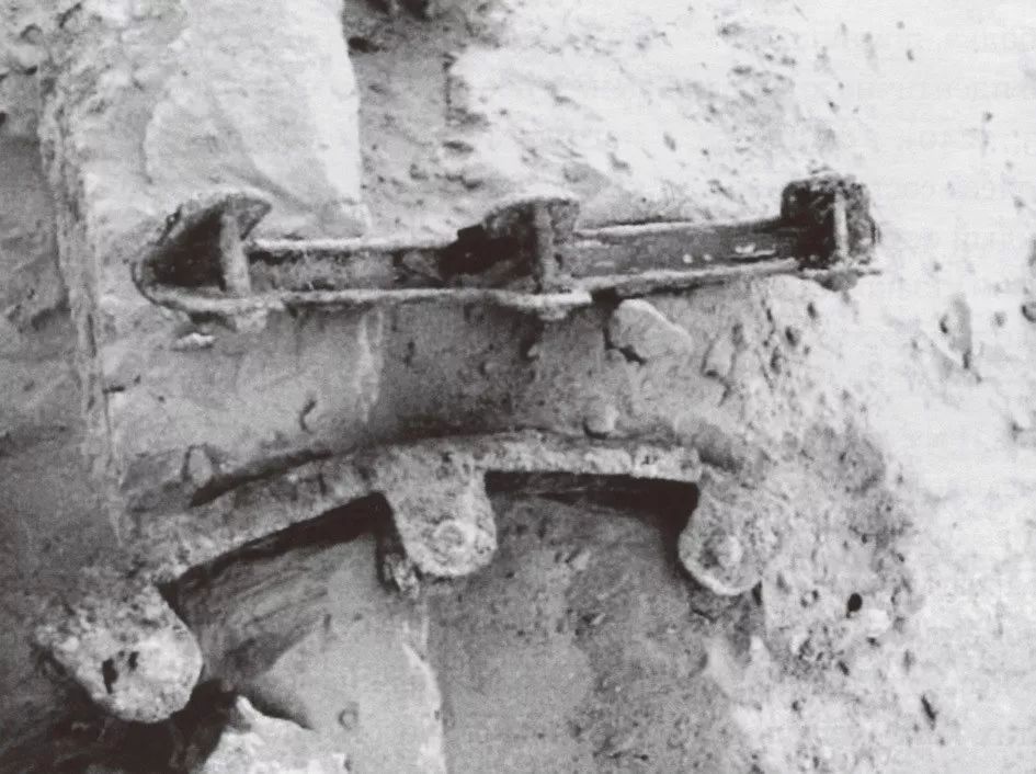 Teethed Sithe Wang Peng: The Bronze Teethed Carriage at the Zhouyuan Site and the ...