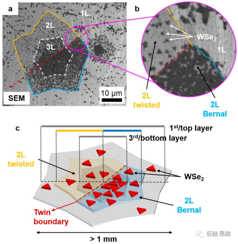 ACS Nano: Effect of bilayer graphene microstructure on nucleation of ...