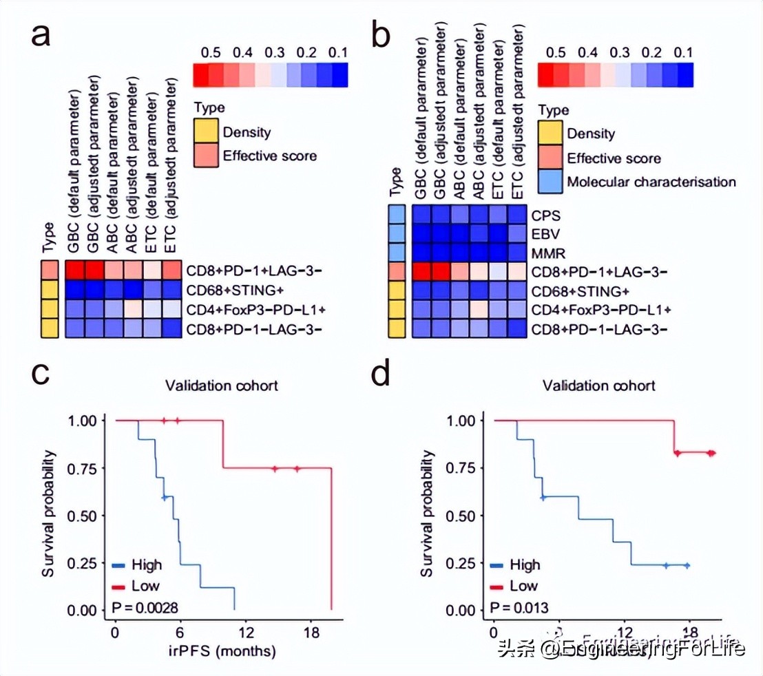 Prediction of gastric cancer response through multidimensional analysis ...