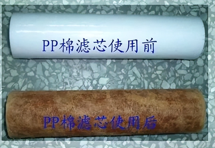 How often should the water purifier filter be replaced? iNEWS