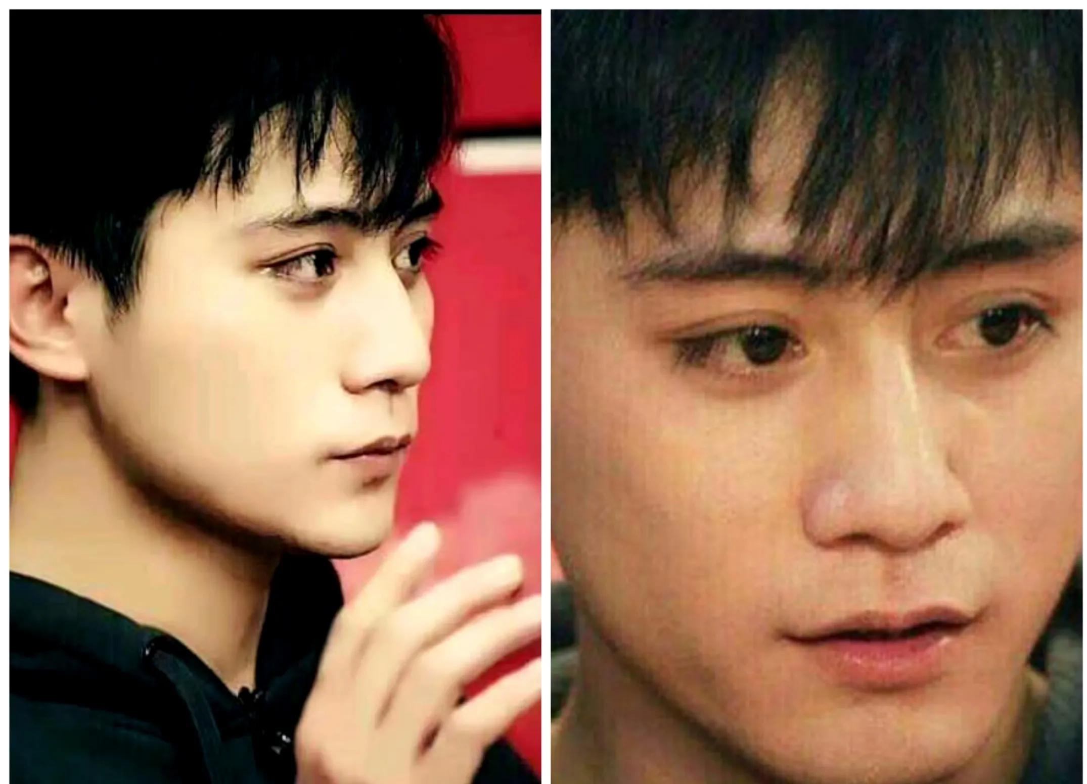 Liu Ye Xie Na, a star who once shared adversity but did not enjoy glory ...