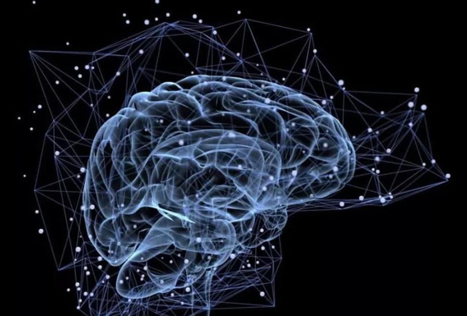 Human brain simulation computer: the next development direction of ...