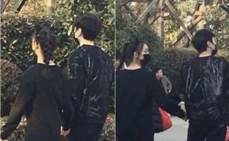 Feng Shaofeng and Wang Likun suddenly made an official announcement ...