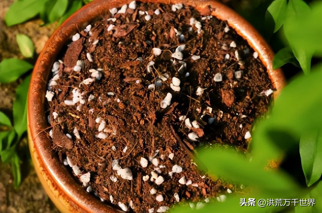 How long does it take for nutrient soil to fertilize iNEWS