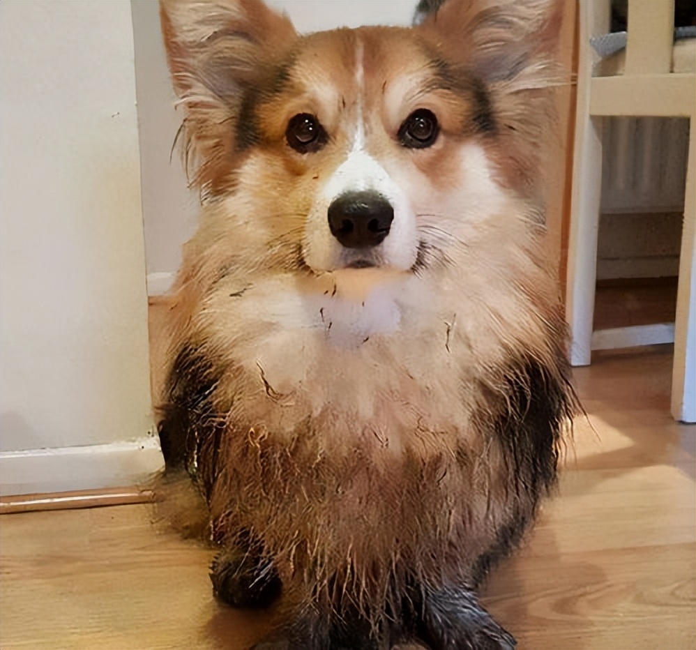 Why do so many people hate who has raised them wants