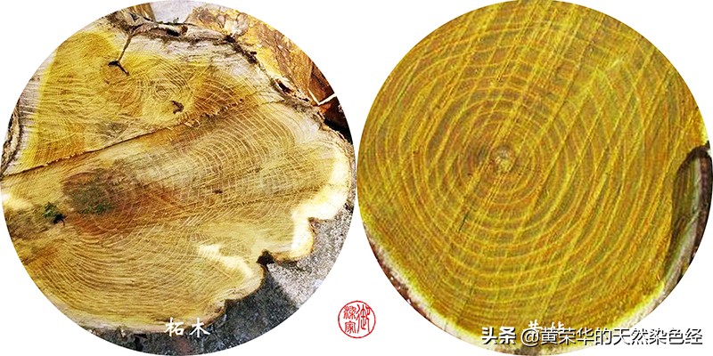 Chinese traditional color: Zhe Huang - iNEWS