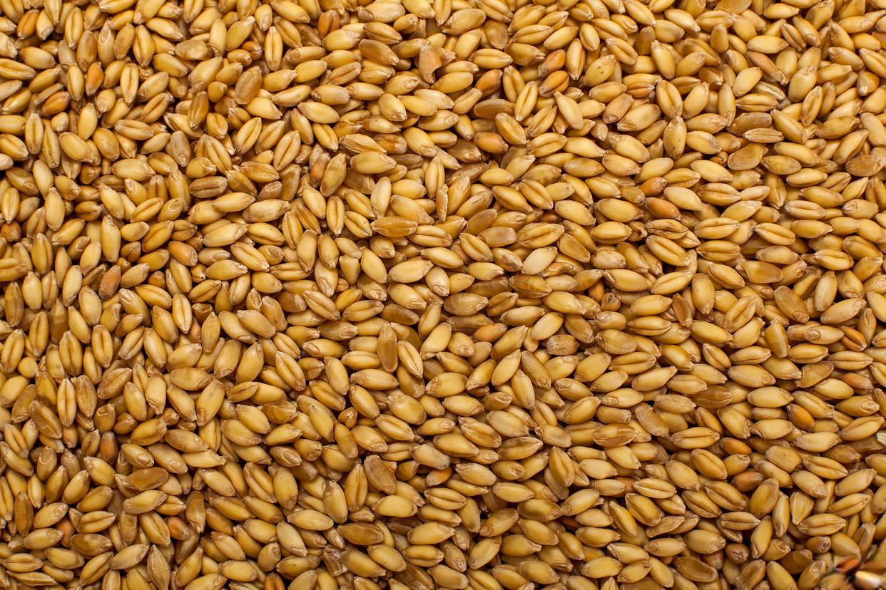 Activate your seed abilities and let the old wheat shine again iMedia