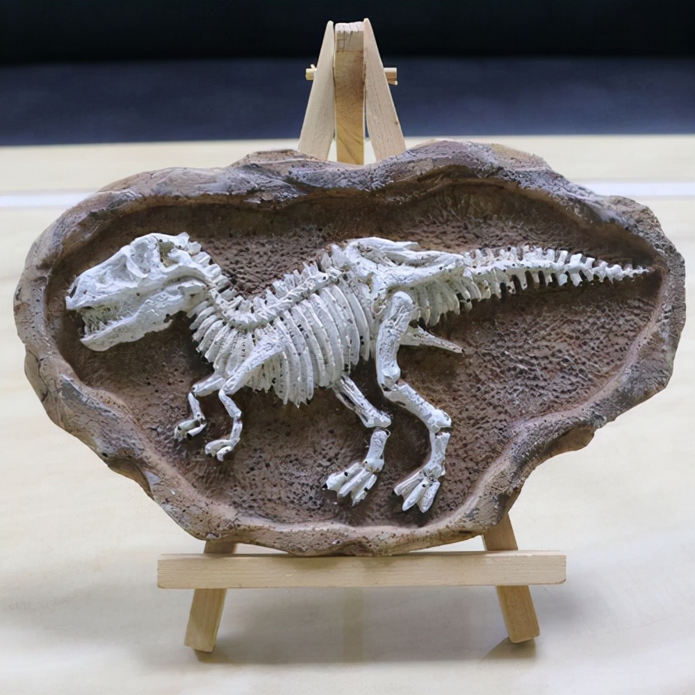 A new species of Ankylosaurus discovered in Chile!With a special 