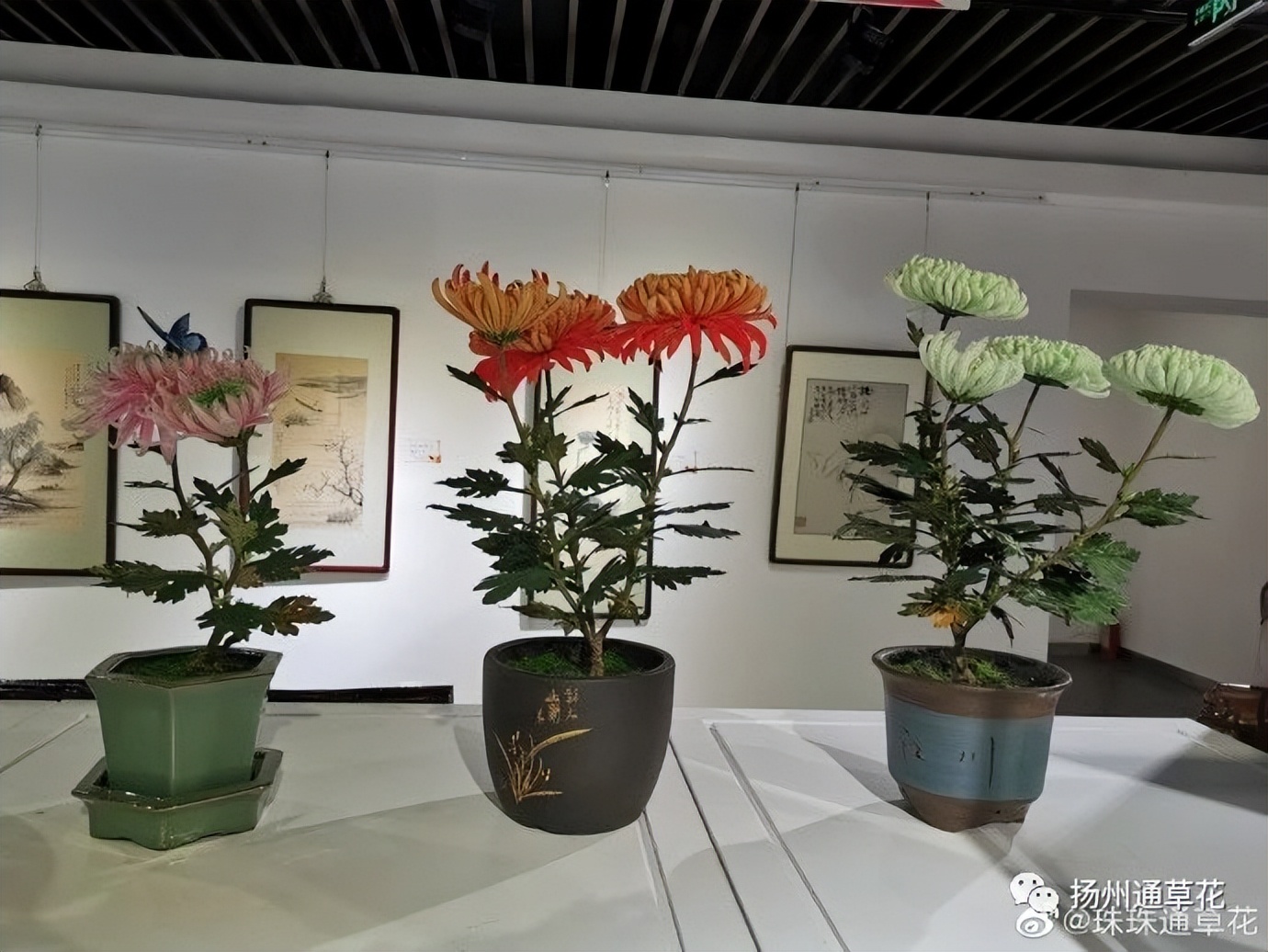 [Intangible Cultural Heritage Memory] Yangzhou Tongcao Flower Technique ...