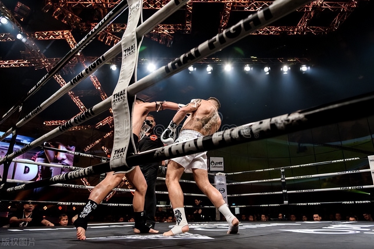 The Influence of Martial Arts on Physical and Mental Health A