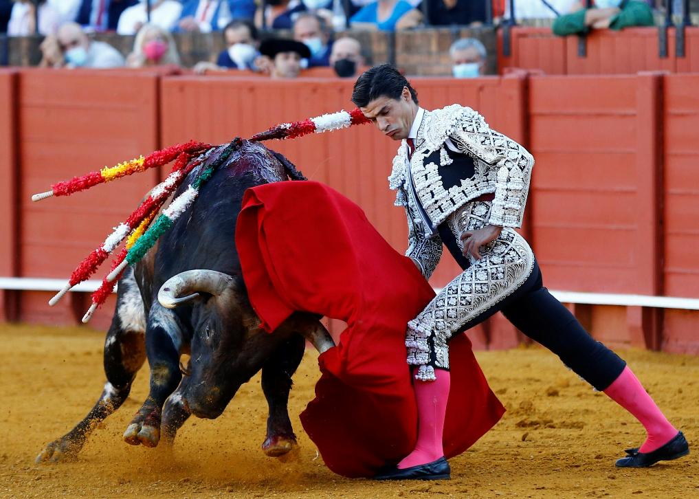 Bullfighting clothing: do you know the cultural connotation of the ...