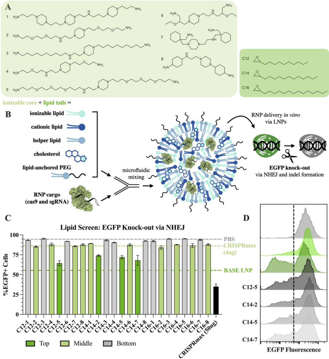 Lipid nanoparticles for pulmonary delivery of CRISPR-Cas9 ...