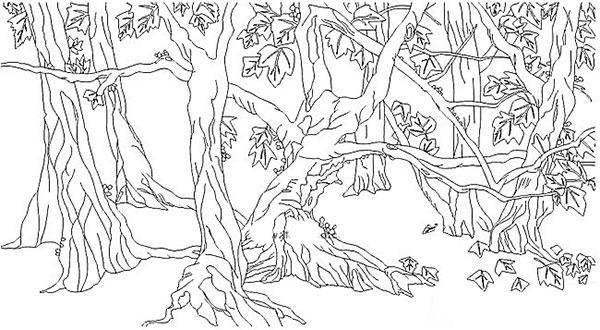 文/博华学校坐落在乡下,校门口正对着一片杨树林.